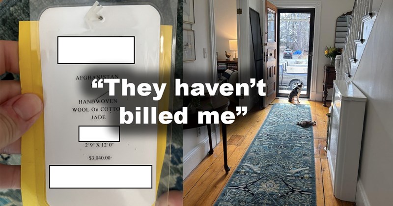 epic win retail rug rugs winning confession expensive rich people lucky Homeowner - 46033413