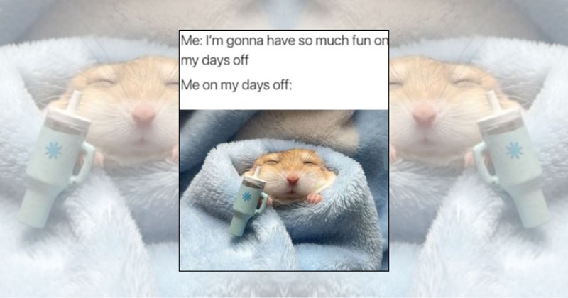 weekend memes relaxing relaxing memes sleeping Funny Memes - 46038021