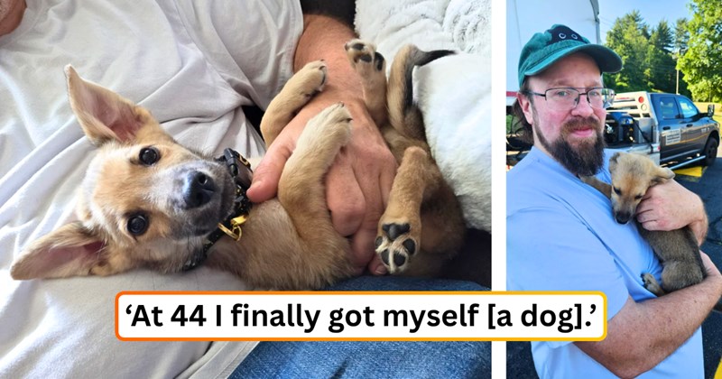 18 text pictures, 7 dog pictures, 1 man and puppy picture | thumbnail includes one dog picture, one man and puppy picture, and ‘At 44 I finally got myself [a dog].’