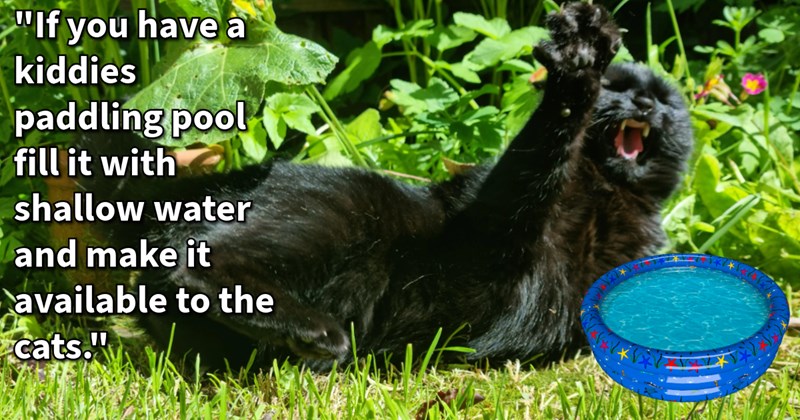 16 Cat Cooling Tips Beat Heat | thumbnail includes one image which shows a black cat lying on side in grass front paw raised over a paddling pool with water ‘“If you have a kiddies paddling pool fill it with shallow water and make it available to the cats.”’