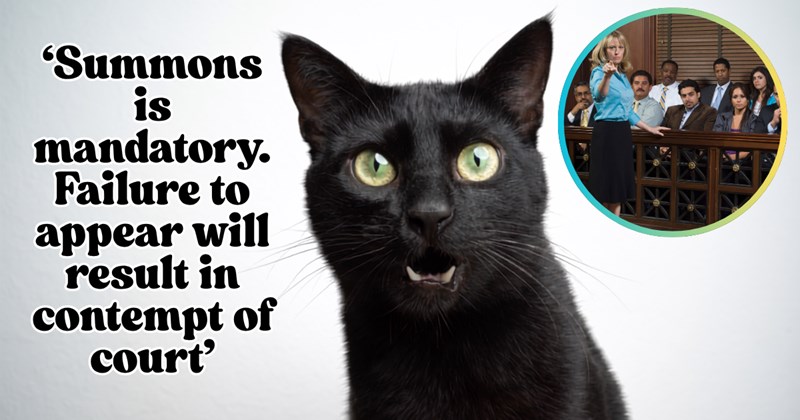 X thread of a cat being summoned for jury duty | Thumbnail includes one picture of a black cat, one picture of jury duty, and one picture of text including '‘Summons is mandatory. Failure to appear will result in contempt of  court’'