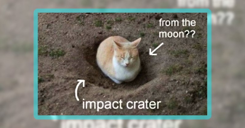 27 cat memes | thumbnail includes one meme including 'from the moon?? impact crater'