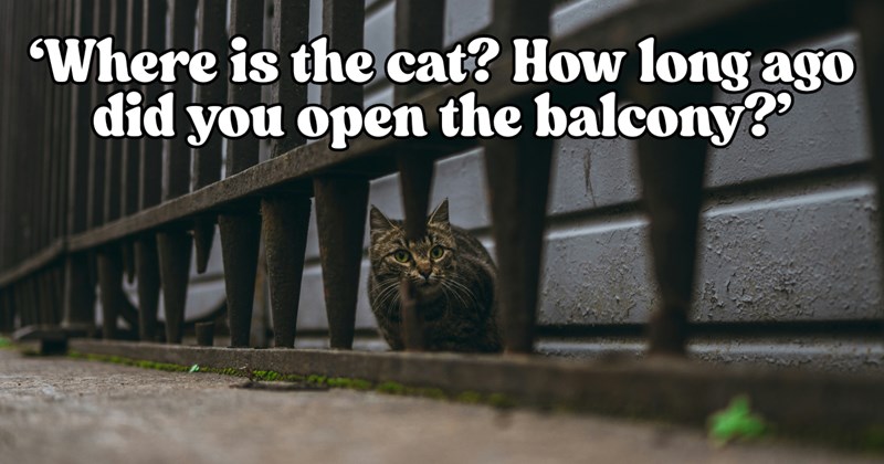 Story of cat mom evicting houseguests after they break her rules | Thumbnail includes one picture of a cat hiding behind a fence after escaping outdoors, and one picture of text including ''Where is the cat? How long ago did you open the balcony?''