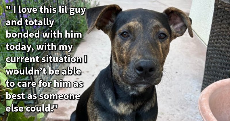  Abandoned dog dad brings puppy California neighborhood be rescued by dog loving resident who healed helped young dog find furever home, rescuer says: ‘can’t imagine abandoning such adorable lil puppy!’ | thumbnail includes one image which shows a black and brown dog sitting on a path ‘“I love this lil guy and totally bonded with him today, with my current situation I wouldn’t be able to care for him as best as someone else could.”’