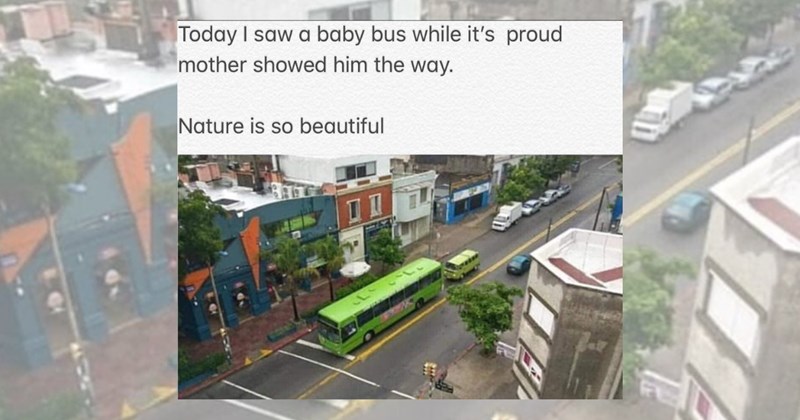 commute funny memes cars Memes train ride bus ride Subway public transport train bus traffic Road Rage - 46091269