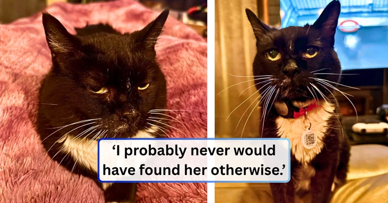 39 text pictures, 3 cat pictures | thumbnail includes two pictures of a cat, and ‘I probably never would have found her otherwise.’