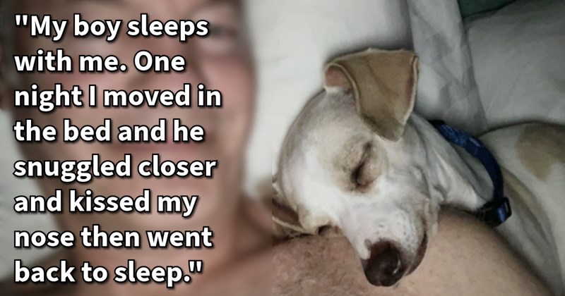 20 Signs Your Canine Child Completely Adores You | thumbnail includes one image which shows a small white and brown dog resting head sleeping on man’s shoulder in bed ‘“My boy sleeps with me. One night I moved in the bed and he snuggled closer and kissed my nose then went back to sleep.”’