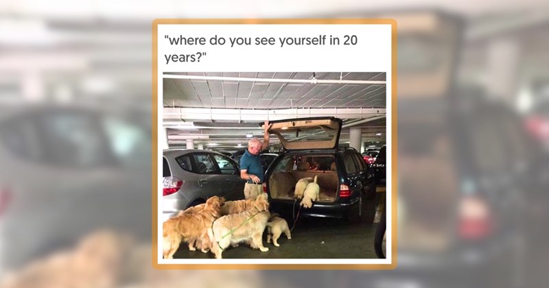 28 dog memes | thumbnail includes one meme including '"where do you see yourself in 20 years?"'