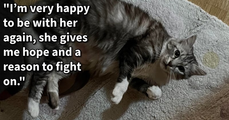 Senior cat daughter who were thrown street by same family find each other thanks kind hooman who found cared for dumped feline, resulting heartwarming reunion: ‘ just happy my baby here I’m taking good care of her’ | thumbnail includes one image which shows a gray tabby cat lying on carpet ‘“I’m very happy to be with her again, she gives me hope and a reason to fight on.”’