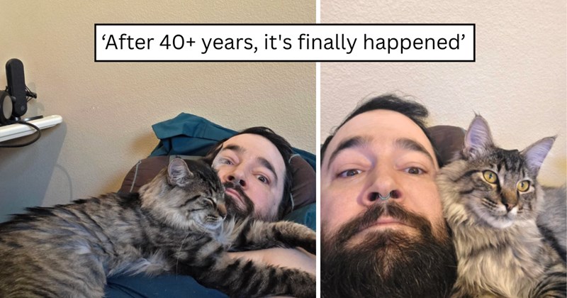 24 pictures of cats and text | thumbnail includes two pictures of cats and one picture of text including '‘After 40+ years, it's finally happened’' 