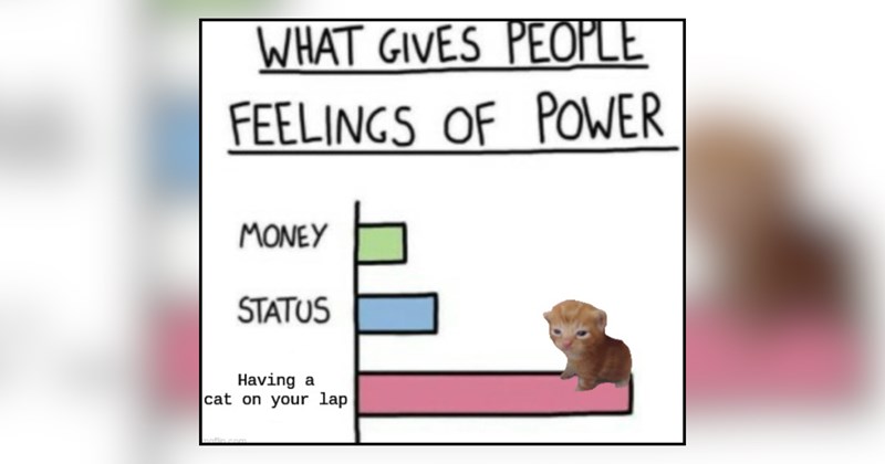 25 cat memes | thumbnail includes one meme and one picture of text including 'WHAT GIVES PEOPLE FEELINGS OF POWER MONEY STATUS Having a cat on your lap' 