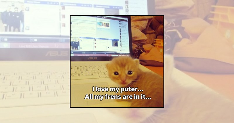 technology memes software update relatable memes digital life laptop memes browser tabs computer memes Funny Memes - 46118661