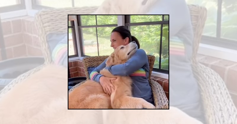 dog person affectionate dogs cute dogs dog love dog hugs heartwarming dogs cuddly dogs dogs hugging humans dog lovers human-animal bond Doggos - 46122245