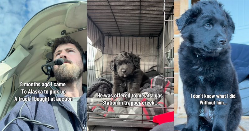 Story of Alaskan traveler adopting a puppy at a gas station | Thumbnail includes one picture of a man with a headset on including '8 months ago I came To Alaska to pick up A truck I bought at auction', one picture of a black puppy including 'He was offered to me at a gas Station in trapper creek...', one picture of a black puppy including 'I don't know what I did Without him...'