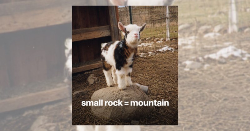 baby animals goats cute baby animals cute animals baby goat cute cute pets funny goats farm animals funny animals Animals - 46146565