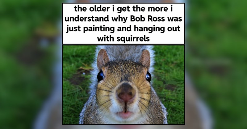 22 Adorable Farm Animals for a Softer Scroll Session