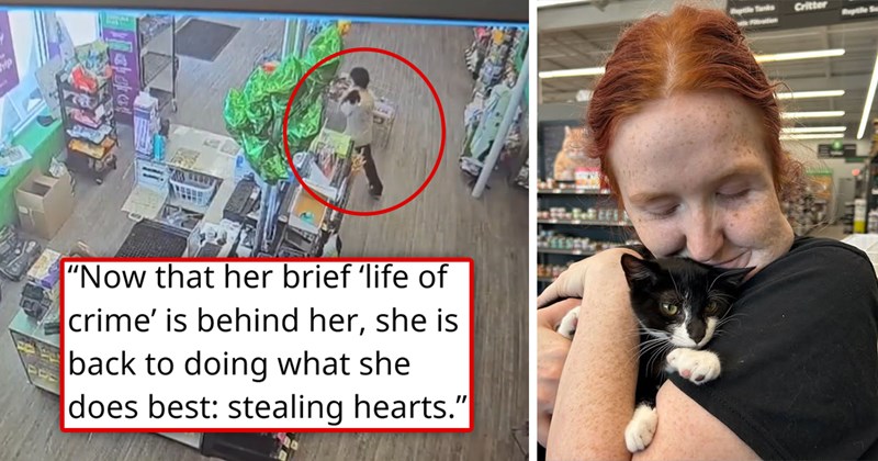 story about a man stealing a cat and using it in a robbery then getting caught and the kitten is looking for a home | thumbnail includes one security shot of a man carrying a kitten and a picture of a woman holding a kitten 'Now that her brief ‘life of crime’ is behind her, she is back to doing what she does best: stealing hearts.'