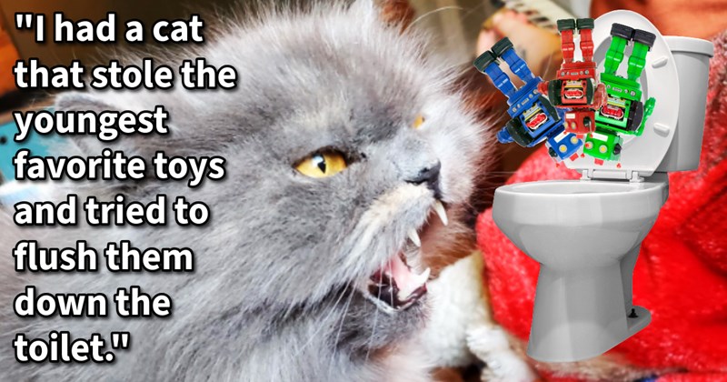 13 Tricks Tone Down Your Cat’s Chaotic Reaction Getting Hooman Sibling | thumbnail includes one image which shows a gray cat hissing at toys falling into toilet ‘“I had a cat that stole the youngest favorite toys and tired to flush them down the toilet.”’