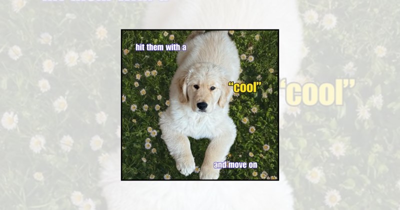 Doggos inspirational animal memes relatable memes wholesome dog memes golden retriever memes funny dog memes good boys life advice motivational dog memes positive memes motivational memes golden retriever - 46182917