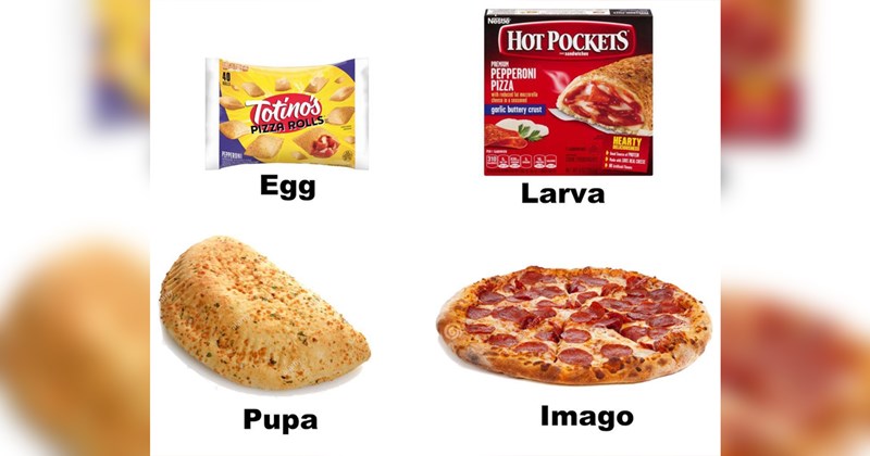 A Mouthful of Hilarious Cooking Memes for Amateur Chefs