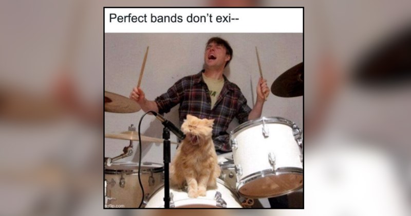 27 cat memes | thumbnail includes one meme and one picture of text including 'Perfect bands don't exi--' 
