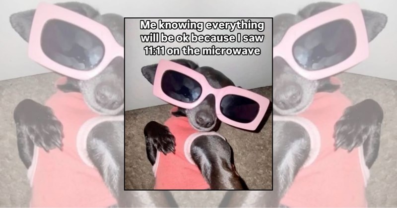 feeling happy happy memes relatable memes funny memes Funny Memes - 46203653