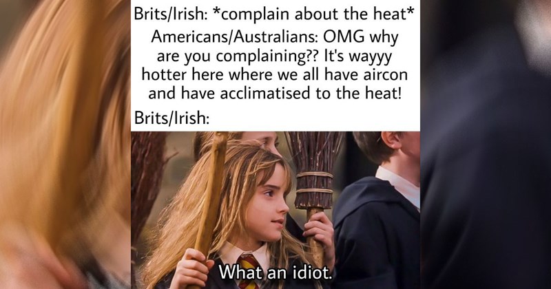 Harry Potter voldemort harry potter memes hermione granger Albus Dumbledore sirius black draco malfoy hedwig Ron Weasley Severus Snape professor lupin Hagrid Hogwarts Funny Memes - 46209797
