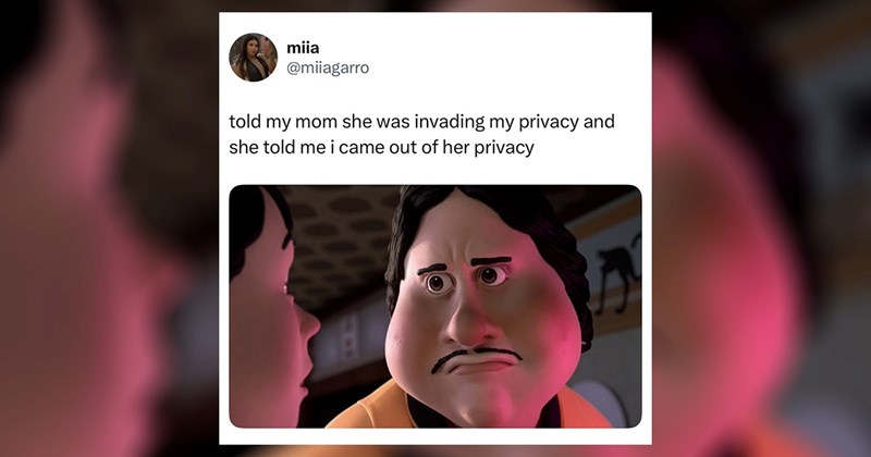 women tweets funny memes fresh tweets relatable tweets tweets funny parenting tweets funny tweets trending tweets parenting tweets tweet random tweets funny Chronically Online - 46218757