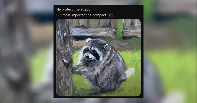 funny random memes relatable memes dog memes random memes dank memes twitter memes meme silly funny tweets funny cat memes Funny Memes - 46219269