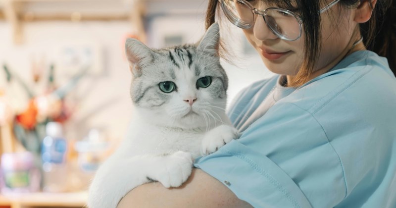 People react to not having money in the most random ways. Sometimes it’s easier to have a fight with someone than for them to admit they don’t want to pay you back because it’s too much money for them, and not because of some rationalization about a cat’s health, lol. Either way, when someone pushes back t