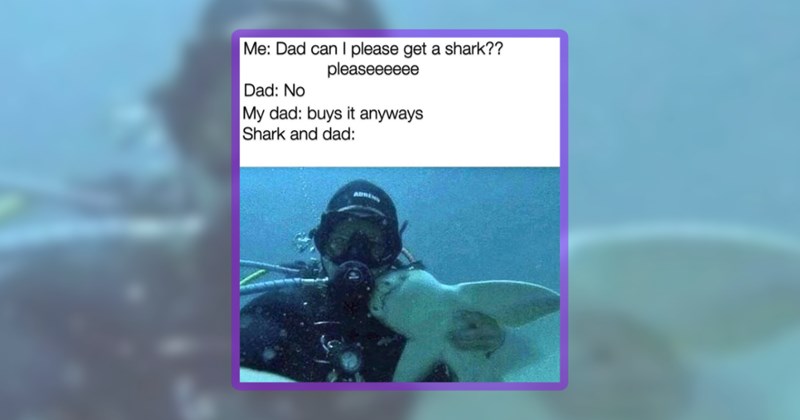 23 shark memes | thumbnail includes one meme including 'Me: Dad can I please get a shark?? pleaseeeeee Dad: No My dad: buys it anyways Shark and dad:'