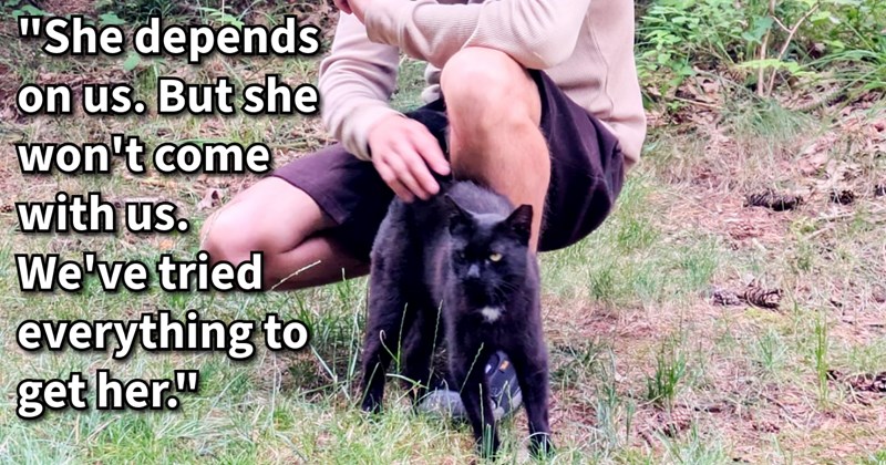 Stray cat officially becomes cat child after couple cat bonded with over 7 years manage catch bring it with them new home, says: ‘She's not just a cat. She's family ...she's one of our kids. And we will always fight for her!’ | thumbnail includes one image which shows a black cat standing in grass being petted by kneeling man ‘“She depends on us. But she won’t come with us. We’ve tried everything to get her.”’