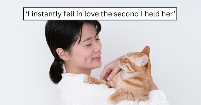 26 pictures of cats and text | thumbnail includes one picture of a cat and one picture of text including '‘I instantly fell in love the second I held her'' 