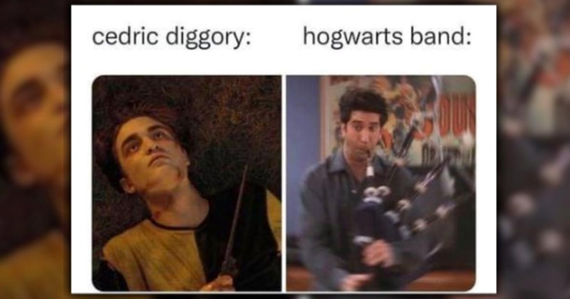 wand geek hogwarts students Harry Potter voldemort geeky memes harry potter memes hermione granger wizard entertaining wizarding world hedwig Ron Weasley Dobby potterhead Hogwarts Fandom - 46236421