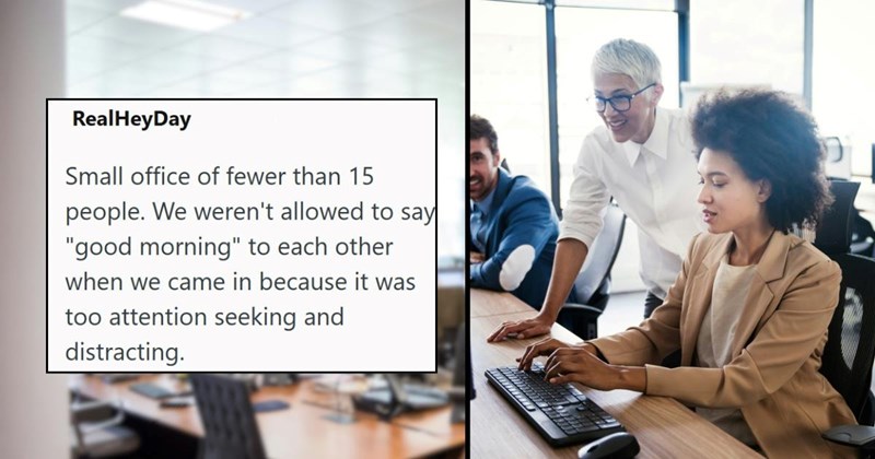 employee toxic workplace workplace work rules Workplace - 46242565