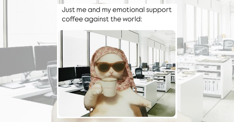 coffee shop caffeine coffee maker coffee memes coffee machine funny memes Memes coffee latte art espresso latte Funny Memes - 46257925
