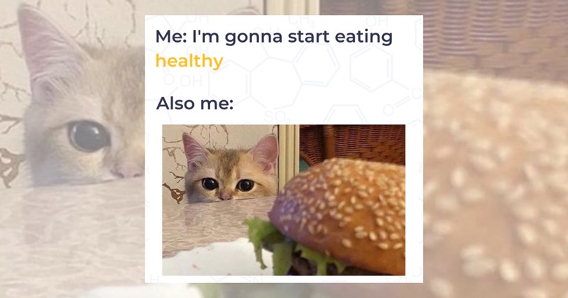 fiber healthy healthy food fibermaxxing relatable memes proteinmaxxing health memes protein funny memes excercise Lifestyle - 46273029