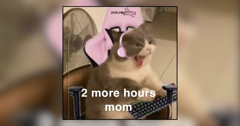 27 cat memes | thumbnail includes one meme and one picture of text including '2 more hours mom' 