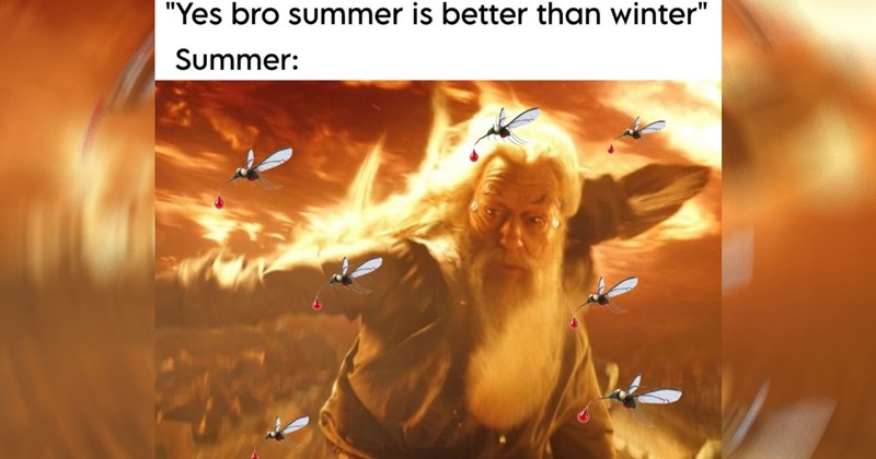 Harry Potter voldemort harry potter memes hermione granger Albus Dumbledore sirius black draco malfoy hedwig Ron Weasley Severus Snape professor lupin Hagrid Hogwarts Fandom - 46296581