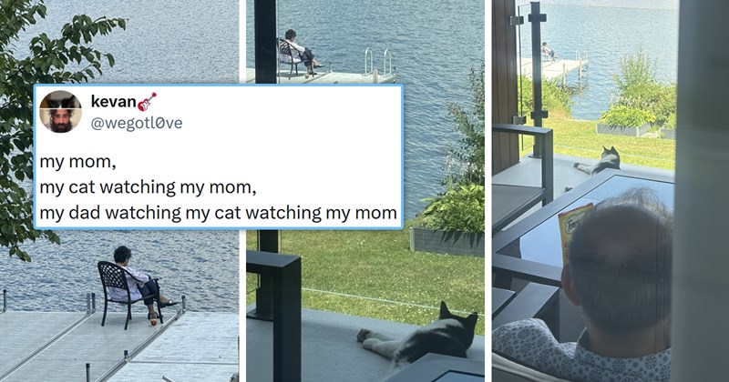 viral cat tweets from X | thumbnail includes three pictures of a man looking at a cat looking at a woman by the beach and one tweet 'kevan @wegotlove my mom, my cat watching my mom, my dad watching my cat watching my mom 1:46 AM · Jul 28, 2026 4.1M Views 504 120K 299K 6.6K'