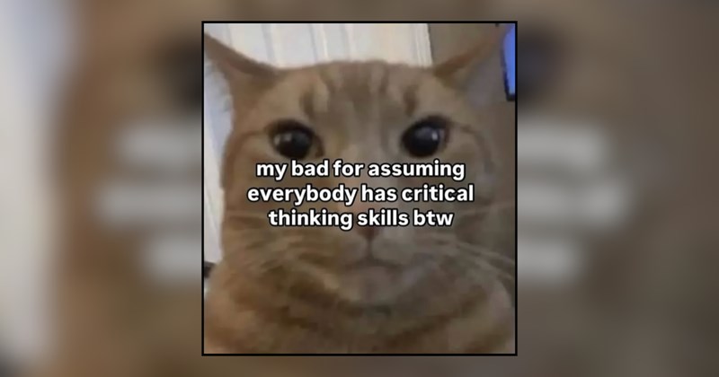 27 cat memes | thumbnail includes one meme and one picture of text including 'my bad for assuming everybody has critical thinking skills btw' 