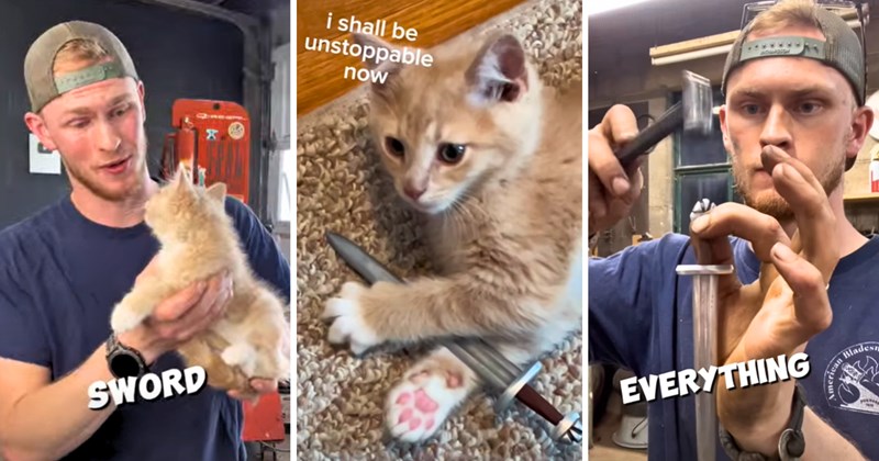 34 pictures of a kitten and a man and a sword, 1 video | thumbnail includes one picture of a kitten and a man including 'SWORD', and one picture of a kitten including 'i shall be unstoppable now', and one picture of a man including 'EVERYTHING'