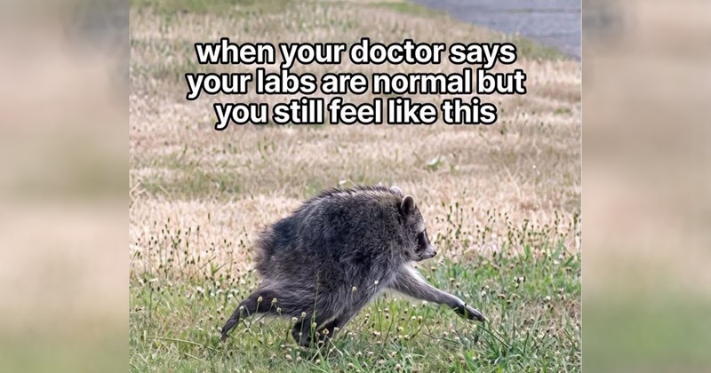 funny random memes relatable memes work memes dog memes random memes silly memes funny memes dank memes Memes twitter memes meme silly funny tweets animal memes funny cat memes Funny Memes - 46320133