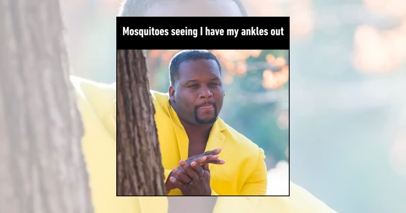 bugs bugs memes mosquito bug memes mosquito memes Funny Memes insects summer memes relatable memes outdoor humor funny memes mosquito season summer night mosquito bites bug bites hot weather warm weather - 46349573