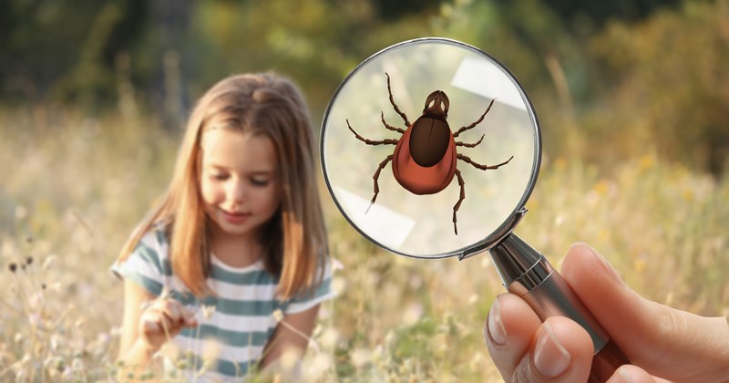 5-year-old girl obsessed with animals and bugs, her single father encourages her curiosity and turns their home into an "insectarium" despite being low on money