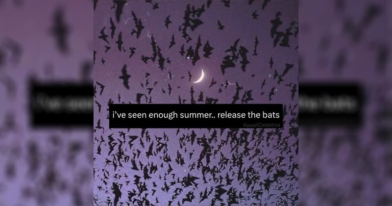 goth funny random memes goth memes autumn spooky season relatable memes funny memes Memes meme silly funny tweets funny Funny Memes - 46371845