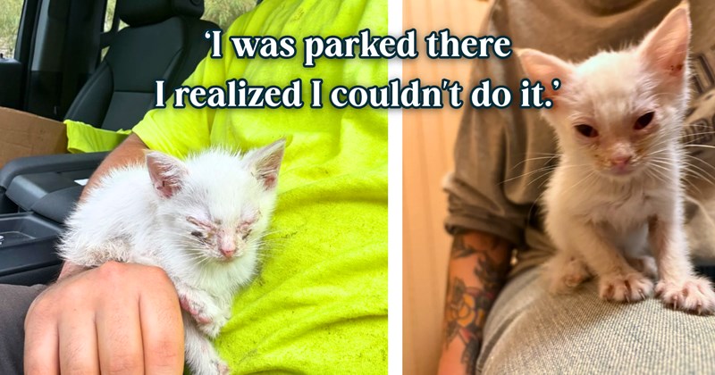17 text pictures, 4 kitten pictures | thumbnail includes two pictures of a kitten, and ‘I was parked there I realized I couldn't do it.’