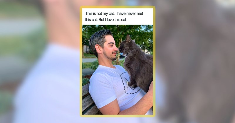 24 cat memes | thumbnail includes one meme including 'This is not my cat. I have never met this cat. But I love this cat'