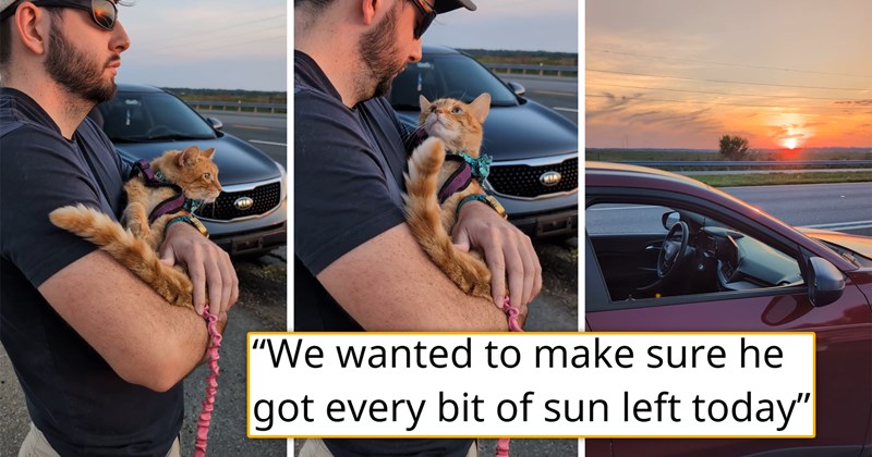 story about cat owners finding out their cat only has a few days left and taking him out to see the sunset | thumbnail includes two pictures of a man holding a cat and a photo of the sun setting 'we wanted to make sure he got every bit of sun left today'
