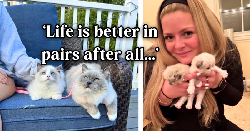 19 woman and cats pictures, 4 text pictures | thumbnail includes two pictures of a woman and cats, and ‘Life is better in pairs after all...’